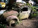 Autofriedhof - 194